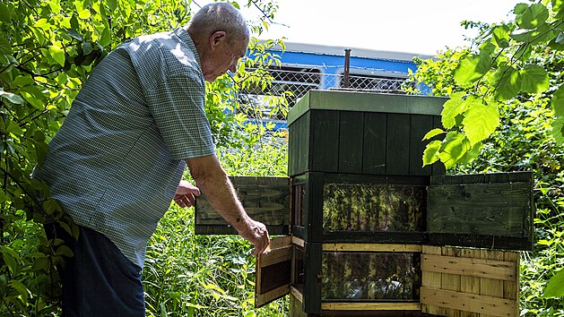 Včelí úl se nachází také v okrajové části olomoucké univerzitní botanické zahrady, kam mohou se včelaři přijít děti a v průběhu roku sledovat život včel, práci včelařů a účastnit se například vytáčení medu. Na snímku včelař Jan Losík.