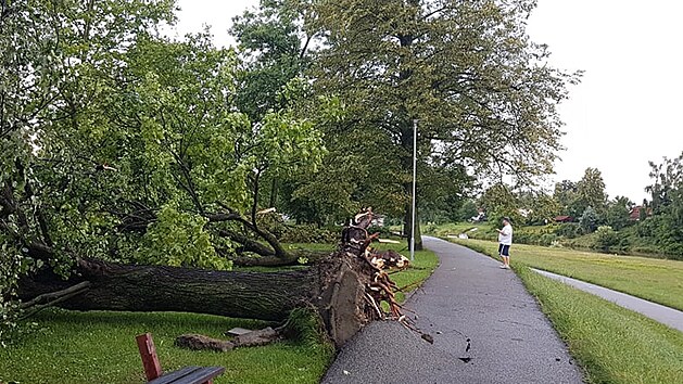 Bouře se silným větrem se přehnala přes České Budějovice. V ulicích leží vyvrácené stromy a ulámané větve. (8. července 2021)