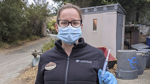 Zoologick zahrada v Oaklandu zaala testovat vakcnu proti koronaviru, kter by byla inn i pro zvata. Prvn dvky ppravku dostaly velk kokovit elmy, medvdi nebo fretky. (1. ervence 2021)