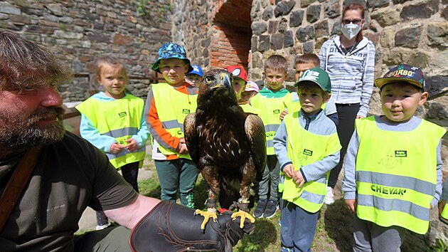 Sokolník Jan Balga předvádí dětem ze školky v Brandlově ulici orla skalního.