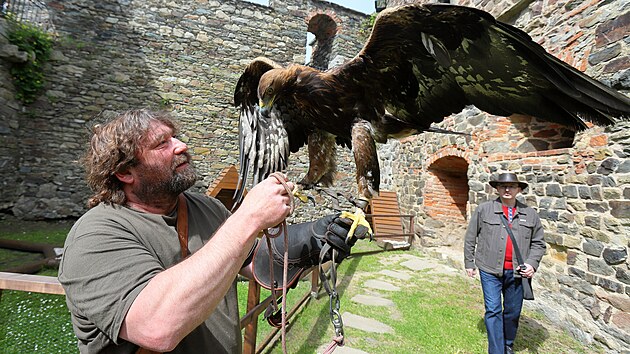 Lákadlem Chebského hradu je nová expozice dravých ptáků.