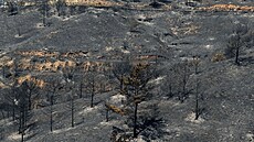 Hasii na Kypru od soboty bojují s lesními poáry. (3.-4. ervence 2021)