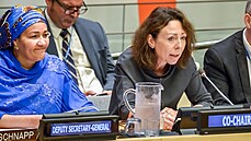 Pedsedkyn Ekonomické a sociální rady OSN Marie Chatardová (12. íjna 2017)