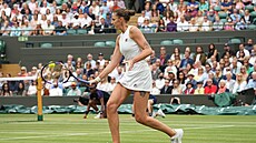 Karolína Plíková ve tvrtfinále Wimbledonu
