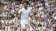 Srb Novak Djokovi slaví získanou výmnu v semifinále Wimbledonu.
