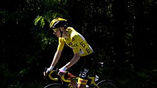 Tadej Pogaar ve dvanácté etap Tour de France.