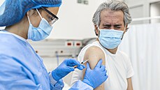 Země APEC chtějí zlepšit dostupnost vakcín proti covidu-19. Znepokojuje je šíření mutace delta