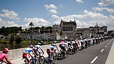 Peloton projídí po trase esté etapy Tour de France.