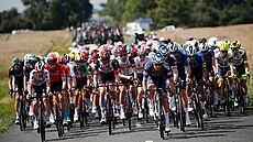 Peloton bhem esté etapy Tour de France. Mezi jezdci stáje Alpecin-Fenix jede...