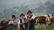 V ALPÁCH. Momentka z osmé etapy Tour de France.