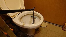 Krajta královská v záchodové míse vyděsila majitele bytu v v Ostrově na...