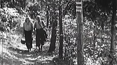 N�mci ni�í turistické zna�ky, st�ovaly si p�ed 100 lety Národní listy