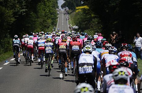 Peloton bhem devatenácté etapy Tour de France.