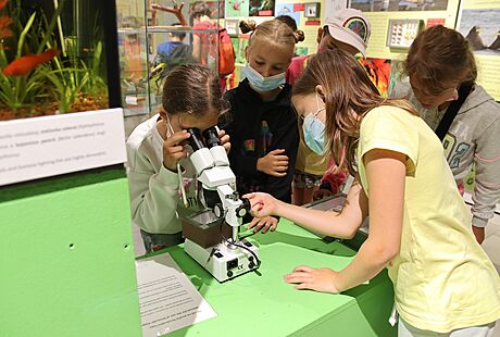 Muzeum regionu Valasko na vsetínském zámku otevelo interaktivní expozici...