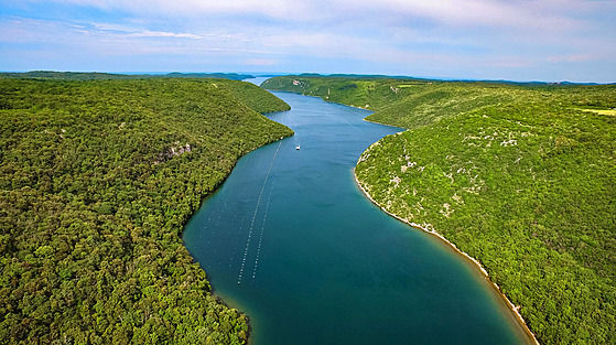 Limski fjord