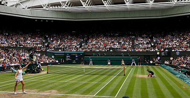 Dotace Wimbledonu vzrostla, tenisty na turnaji čekají rekordní prémie