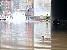 Zaplavená vozovka v Dín. (17. ervence 2021)