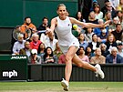 Karolína Plíková v akci bhem finále Wimbledonu