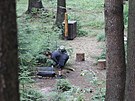 K lesnmu baru, jen se nachz u studnky Helenka pobl Hotelu Skalsk dvr...