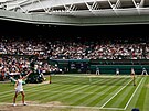 V TENISOVÉM CHRÁMU. Karolína Plíková ve finále Wimbledonu.