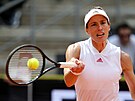 Andrea Petkovicová ve finále turnaje v Hamburku.