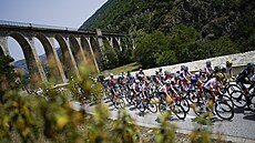 Peloton projíždí po trati patnácté etapy Tour de France.
