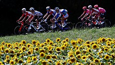 Skupina uprchlík bhem devatenácté etapy Tour de France.