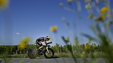 Wout Van Aert bhem dvacáté etapy Tour de France.