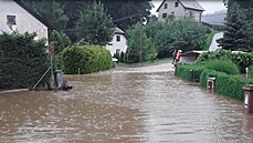 Bouky se pesouvají na východ eska.