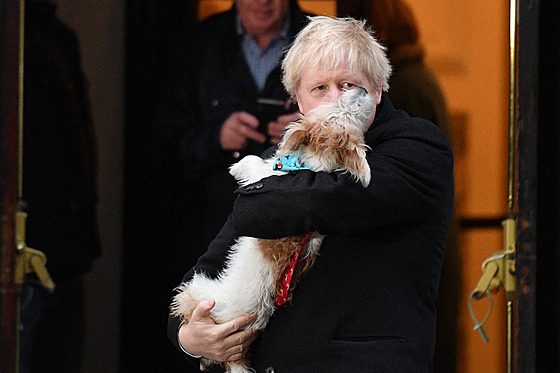 Premiérv pes, dvouletá fenka Jack Russel teriéra dostává svého majitele do...