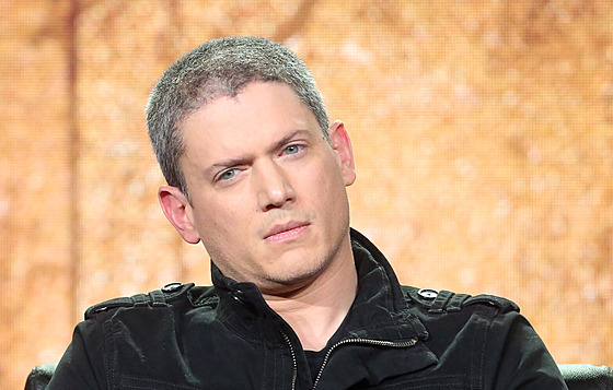 Wentworth Miller (Pasadena, 11. ledna 2017)