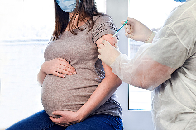Očkovat, nebo ne? Těhotné ženy řeší dilema kvůli černému kašli