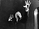 Adolf Hitler si ped objektivem svého oficiálního fotografa Heinricha Hoffmana...