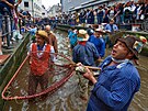 Mui se pi tradiní akci v bavorském Memmingenu snaí ulovit co nejvtí rybu....