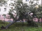 Po dn ivl v Plzeskm kraji zanechaly popadan stromy spou na mnoha...