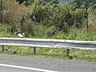 Nehoda motorke na njezdu z Vestce na Prask okruh smr D1. (23. ervence...