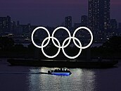 Olympijské kruhy ozařují noční Tokio.