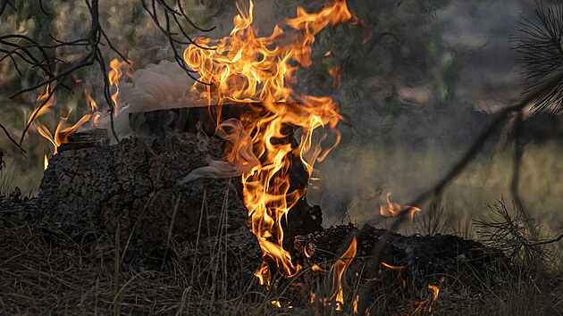 Lep poas pomohlo hasim v boji s momentln nejvtm ohniskem v USA na jihu Oregonu. (22. ervence 2021)