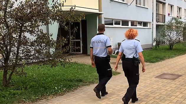 Jihoesk policie provuje okolnosti sobotn nsiln smrti dvou lid na eskobudjovickm sdliti Vltava. (24. ervence 2021)