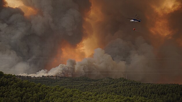 st panlska suuj rozshl pory. (25. ervence 2021)