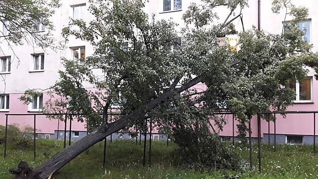 Po dn ivl v Plzeskm kraji zanechaly popadan stromy spou na mnoha mstech.