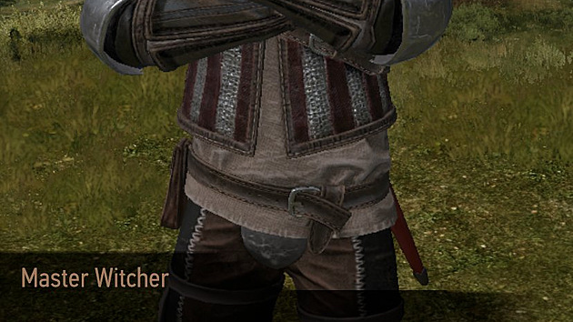 The Witcher: Monster Slayer