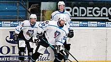 První trénink hokejistů Plzně na ledě. V akci je Jakub Kindl.