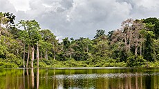 eka v Gabonu