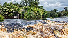eka v Gabonu