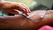 Darování krve | na serveru Lidovky.cz | aktuální zprávy