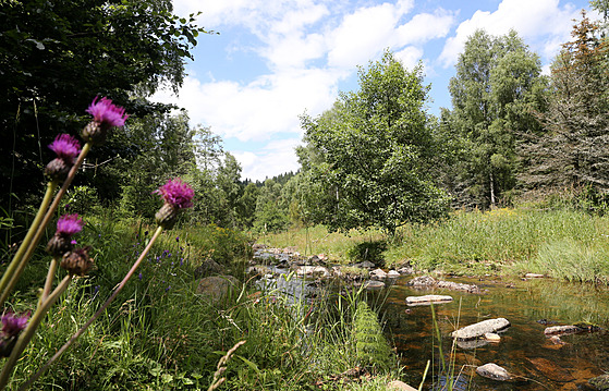 P�íroda v Kru�ných horách, konkrétn� na Mostecku