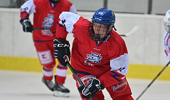 eský hokejista Eduard alé vyváí puk na turnaji Hlinka Gretzky Cupu hrá do 18 let - ilustraní foto.. 