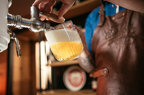 Bud�jovický Budvar na �epu