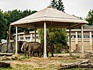 Sloni v ZOO Ostrava se mohou ped hnoucm sluncem schovat pod nov stnidlo.